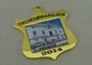 Μετάλλιο κραμάτων ψευδάργυρου κραμάτων ψευδάργυρου Tromsomarsjen με την εκτύπωση/τη χρυσή επένδυση